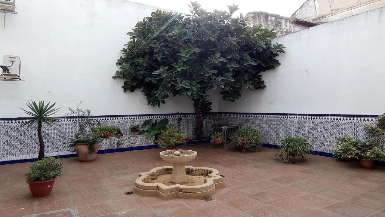 Apartament Apartamento La Palma Kordoba Zewnętrze zdjęcie